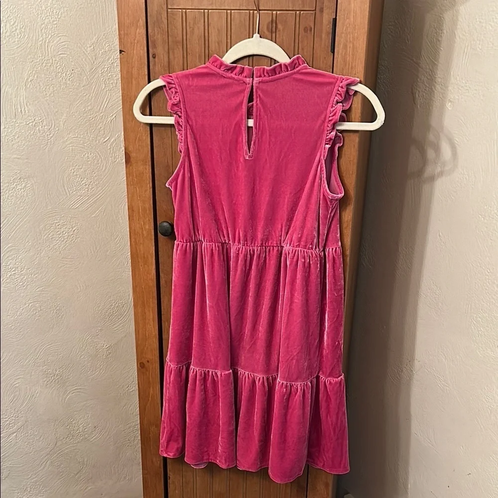 Crewcuts Pink Sleeveless Ruffled Mock Neck Velvet Dress